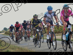 La Raymond Martin 2022 155Kms  Champmotteux coté droit de la route