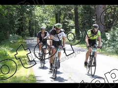 La Périgordine 2023 Dossards vert