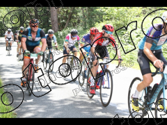 La Périgordine 2023 Dossards  Jaune