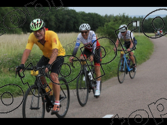 La courir pour la Paix 2024 Grand parcours 130 kms