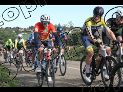 Bocage du Gatînais  grand parcours