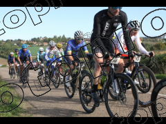 Bocage du Gatînais  grand parcours