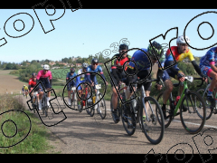 Bocage du Gatînais  grand parcours