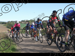 Bocage du Gatînais  grand parcours