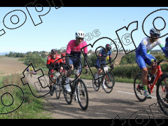 Bocage du Gatînais  grand parcours