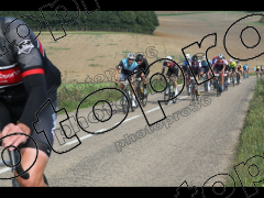 Bocage du Gatînais  petit parcours