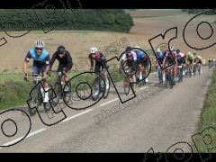 Bocage du Gatînais  petit parcours