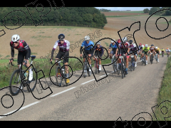 Bocage du Gatînais  petit parcours