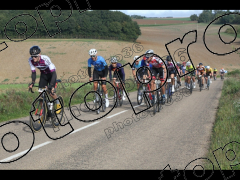 Bocage du Gatînais  petit parcours