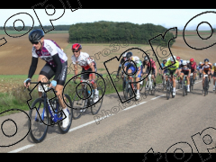 Bocage du Gatînais  petit parcours