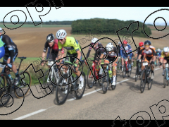 Bocage du Gatînais  petit parcours