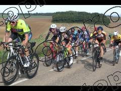 Bocage du Gatînais  petit parcours