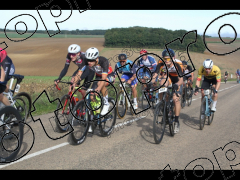 Bocage du Gatînais  petit parcours