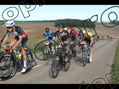 Bocage du Gatînais  petit parcours