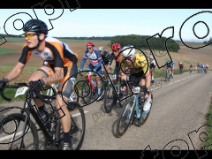 Bocage du Gatînais  petit parcours