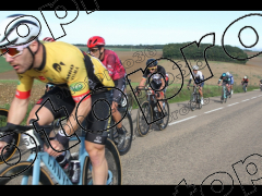 Bocage du Gatînais  petit parcours