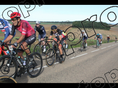 Bocage du Gatînais  petit parcours