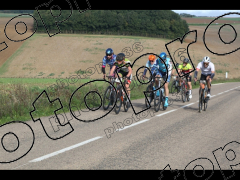 Bocage du Gatînais  petit parcours