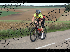 Bocage du Gatînais  petit parcours