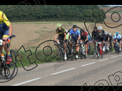 Bocage du Gatînais  petit parcours
