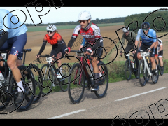 Bocage du Gatînais  petit parcours