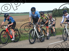 Bocage du Gatînais  petit parcours