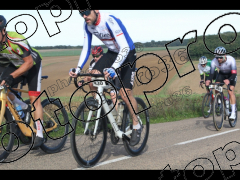 Bocage du Gatînais  petit parcours