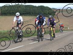 Bocage du Gatînais  petit parcours