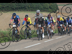 Bocage du Gatînais  petit parcours