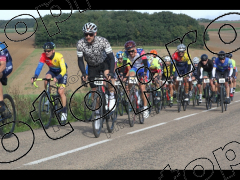 Bocage du Gatînais  petit parcours