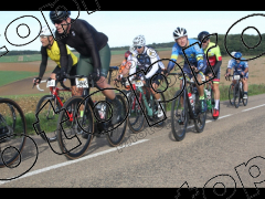 Bocage du Gatînais  petit parcours