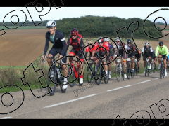 Bocage du Gatînais  petit parcours