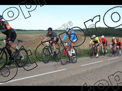 Bocage du Gatînais  petit parcours