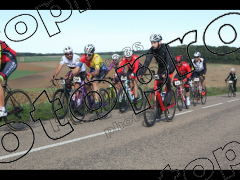 Bocage du Gatînais  petit parcours