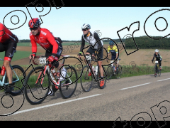 Bocage du Gatînais  petit parcours