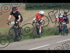 Bocage du Gatînais  petit parcours