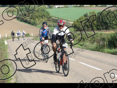 Bocage du Gatînais  petit parcours