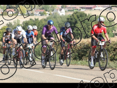 La Bocage du Gâtinais 2026 95 kms