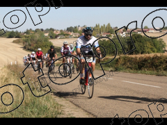 La Bocage du Gâtinais 2026 95 kms