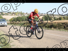 La Bocage du Gâtinais 2026 95 kms